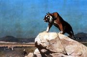 Jean Leon Gerome Tiger on the Watch china oil painting reproduction